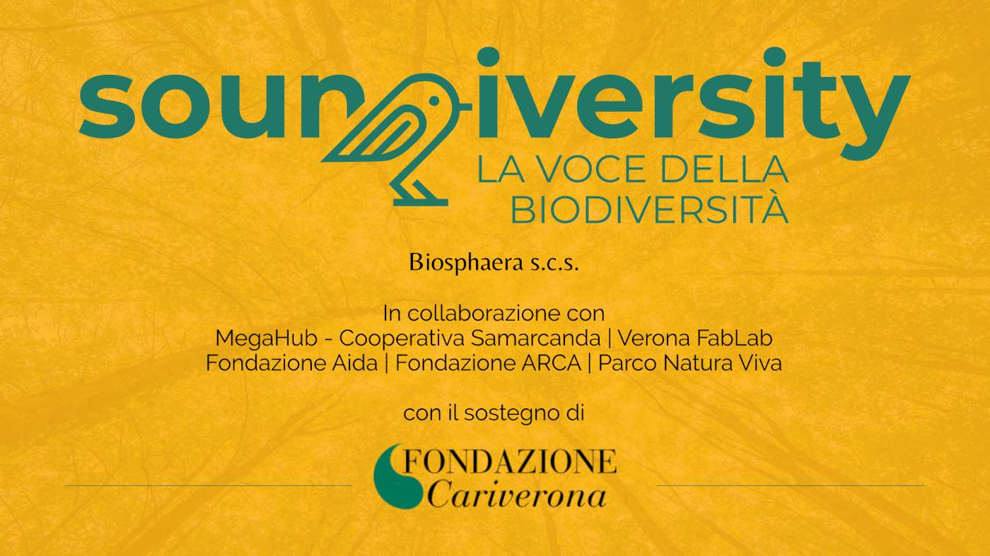Soundiversity, la voce della biodiversità